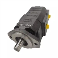 Rexroth SERIE PGF Garanzia commerciale Sostituire la pompa a ingranaggi interni PGF PGF2 PGF2-22/006RN01VM Pompa dell'olio idraulico